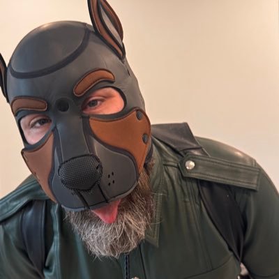 @TheCubScout profile picture